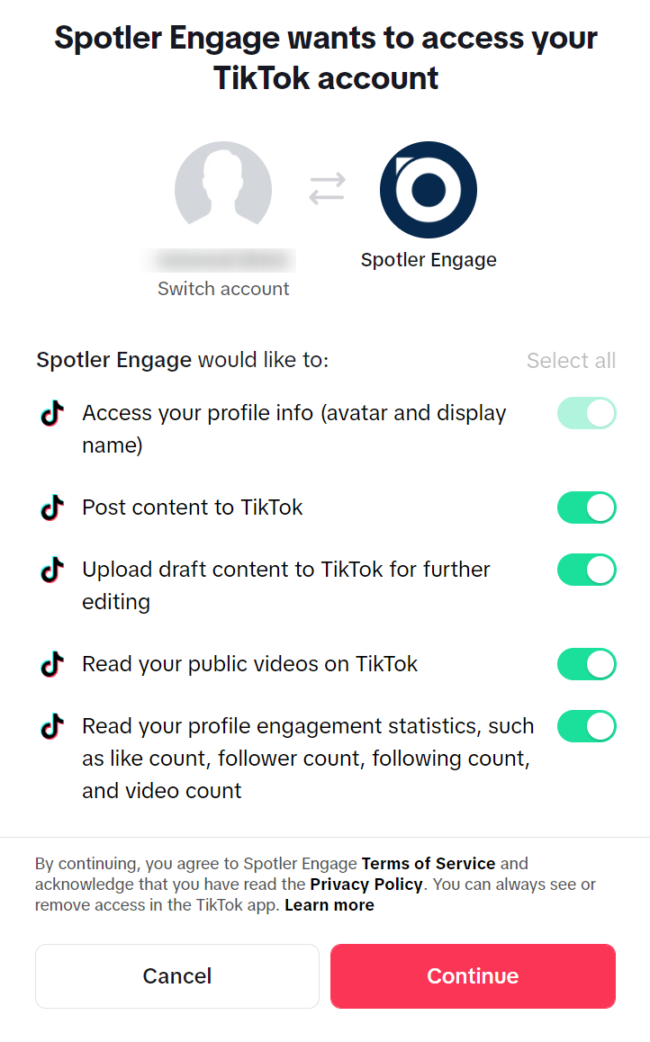 TikTok access rights.png
